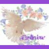 [Inactive]�Keeps crashing - last post by turtledove
